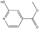 2-Mercapto-isonicotinic acid Methyl ester CAS#: 74470-33-0