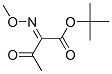 2-Methoxyimino-3-oxobutyric acid tert-butyl ester CAS#: 76674-93-6
