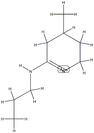 2-Pyridinamine,3,4,5,6-tetrahydro-4-methyl-N-propyl-(9CI) CAS#: 791038-23-8