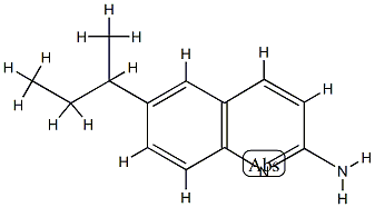 2-Quinolinamine,6-(1-methylpropyl)-(9CI) CAS#: 791595-94-3
