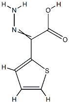 2-Thiopheneaceticacid,alpha-hydrazono-(9CI) CAS#: 762184-92-9