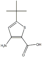 2-Thiophenecarboxylicacid,3-amino-5-(1,1-dimethylethyl)-(9CI) CAS#: 746671-67-0