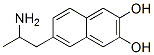 2,3-Naphthalenediol, 6-(2-aminopropyl)- (9CI) CAS#: 774487-80-8