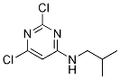 2,6-dichloro-N-isobutylpyriMidin-4-aMine CAS#: 72063-78-6