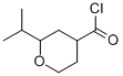 2H-Pyran-4-carbonylchloride,tetrahydro-2-(1-methylethyl)-(9CI) CAS#: 77554-92-8