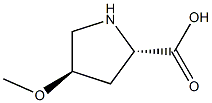 (2S,4R)-4-Methoxyproline CAS#: 75176-09-9
