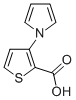 3-(1H-PYRROL-1-YL)THIOPHENE-2-CARBOXYLIC ACID CAS#: 74772-17-1
