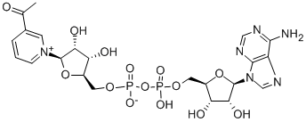 3-ACETYLPYRIDINE ADENINE DINUCLEOTIDE CAS#: 86-08-8