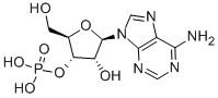 3'-ADENYLIC ACID CAS#: 84-21-9