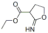 3-Furancarboxylicacid,tetrahydro-2-imino-,ethylester(9CI) CAS#: 736094-64-7