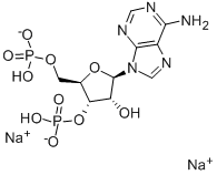 3'-PHOSPHOADENOSINE 5'-PHOSPHATE CAS#: 75431-54-8