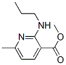 3-Pyridinecarboxylicacid,6-methyl-2-(propylamino)-,methylester(9CI) CAS#: 778526-67-3