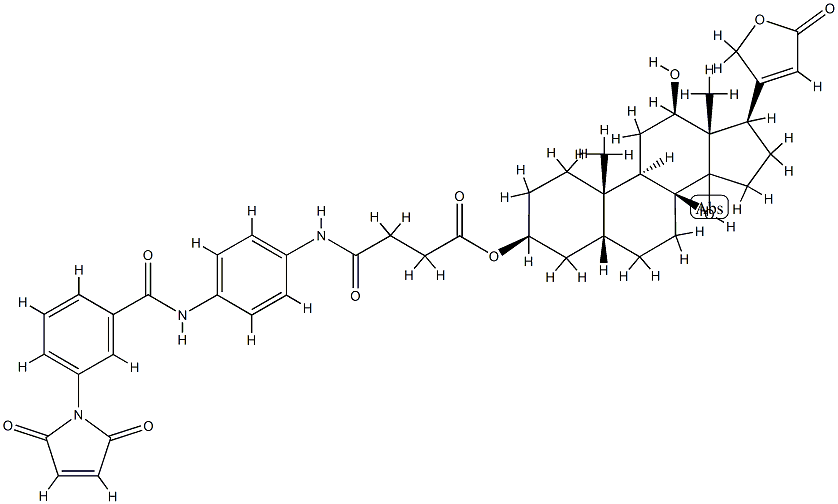 3-maleimidobenzoyl (digoxigenin-3-O-succinamido)aniline CAS#: 75804-34-1