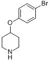 4-(4-BROMO-PHENOXY)-PIPERIDINE CAS#: 74130-05-5