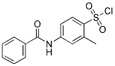 4-BENZOYLAMINO-2-METHYL-BENZENESULFONYL CHLORIDE CAS#: 728864-73-1