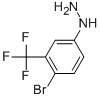 4-BROMO-3-TRIFLUOROMETHYL-PHENYL-HYDRAZINE CAS#: 77992-51-9