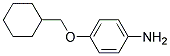 4-(CYCLOHEXYLMETHOXY)ANILINE CAS#: 76253-28-6