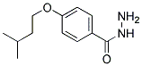 4-(ISOPENTYLOXY)BENZOHYDRAZIDE CAS#: 721426-56-8