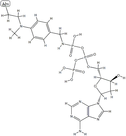 4-(N-2-chloroethyl-N-methylamino)benzyl-gamma-amide dATP CAS#: 75795-00-5