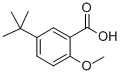 4-TERT-BUTYL-2-ETHOXY-BENZOIC ACID CAS#: 73469-54-2