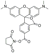 5(6)-CARBOXYTETRAMETHYLRHODAMINE N-SUCCINIMIDYL ESTER CAS#: 75929-56-5