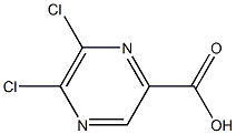 5,6-Dichloropyrazine-2-carboxylic acid CAS#: 76537-42-3
