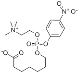 6-Carboxyhexylphosphocholine p-Nitrophenyl Ester CAS#: 73785-43-0