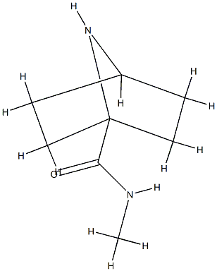 7-Azabicyclo[2.2.1]heptane-1-carboxamide,N-methyl-(9CI) CAS#: 783298-25-9