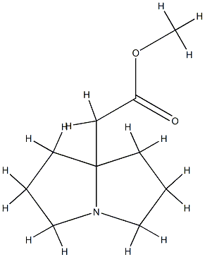 pyrrolizidine-7α-acetic acid methyl ester CAS#: 78449-76-0