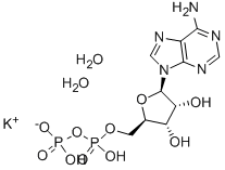 ADENOSINE 5'-DIPHOSPHATE MONOPOTASSIUM SALT CAS#: 72696-48-1