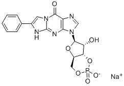 BETA-PHENYL-1,N2-ETHENOGUANOSINE-3',5'-CYCLIC MONOPHOSPHATE SODIUM SALT CAS#: 78080-27-0