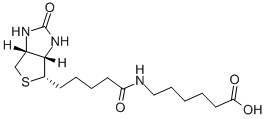 (+)-BIOTIN-EPSILON-AMINOCAPROIC ACID CAS#: 72040-64-3