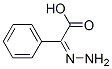 Benzeneacetic acid, alpha-hydrazono- (9CI) CAS#: 79878-65-2
