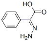 Benzeneacetic acid, alpha-hydrazono-, (E)- (9CI) CAS#: 74470-04-5