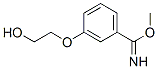 Benzenecarboximidic acid, 3-(2-hydroxyethoxy)-, methyl ester (9CI) CAS#: 754129-25-4