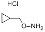 CYCLOPROPYL METHOXYLAMINE HYDROCHLORIDE CAS#: 74124-04-2