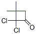 Cyclobutanone, 2,2-dichloro-3,3-dimethyl- CAS#: 72837-16-2