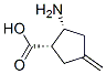 Cyclopentanecarboxylic acid, 2-amino-4-methylene-, (1S,2R)- (9CI) CAS#: 786615-32-5
