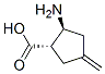 Cyclopentanecarboxylic acid, 2-amino-4-methylene-, (1S,2S)- (9CI) CAS#: 755750-29-9