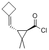 Cyclopropanecarbonyl chloride, 3-(cyclobutylidenemethyl)-2,2-dimethyl-, (1R-trans)- (9CI) CAS#: 77789-65-2