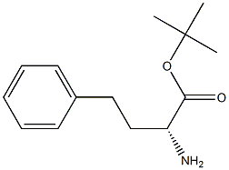 D-HoMophenylalanine tert-Butyl Ester CAS#: 740055-30-5