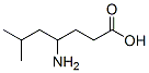 Heptanoic acid, 4-amino-6-methyl- CAS#: 74892-75-4