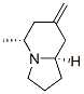 Indolizine, octahydro-5-methyl-7-methylene-, (5R,8aR)- (9CI) CAS#: 727985-42-4