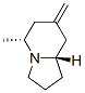 Indolizine, octahydro-5-methyl-7-methylene-, (5R,8aS)- (9CI) CAS#: 727985-43-5
