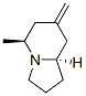 Indolizine, octahydro-5-methyl-7-methylene-, (5S,8aR)- (9CI) CAS#: 729612-51-5