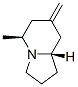 Indolizine, octahydro-5-methyl-7-methylene-, (5S,8aS)- (9CI) CAS#: 727985-52-6