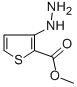 METHYL 3-HYDRAZINOTHIOPHENE-2-CARBOXYLATE CAS#: 75681-13-9