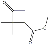 Methyl 2,2-diMethyl-3-oxocyclobutanecarboxylate CAS#: 78685-51-5