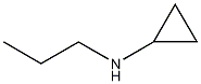 N-cyclopropyl-N-propylamine CAS#: 73121-93-4