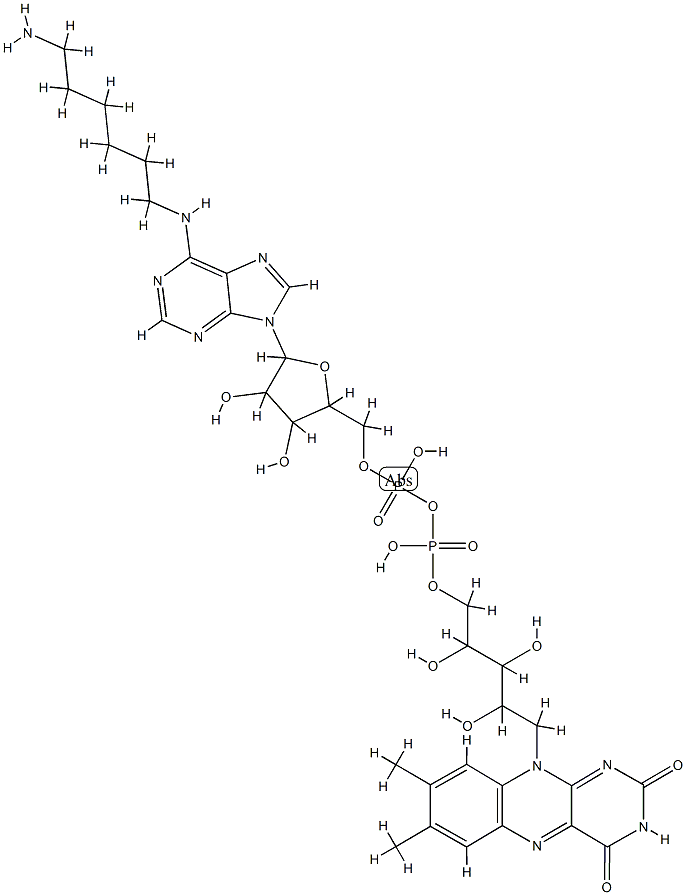 N(6)-aminohexyl-flavin adenine dinucleotide CAS#: 76748-73-7
